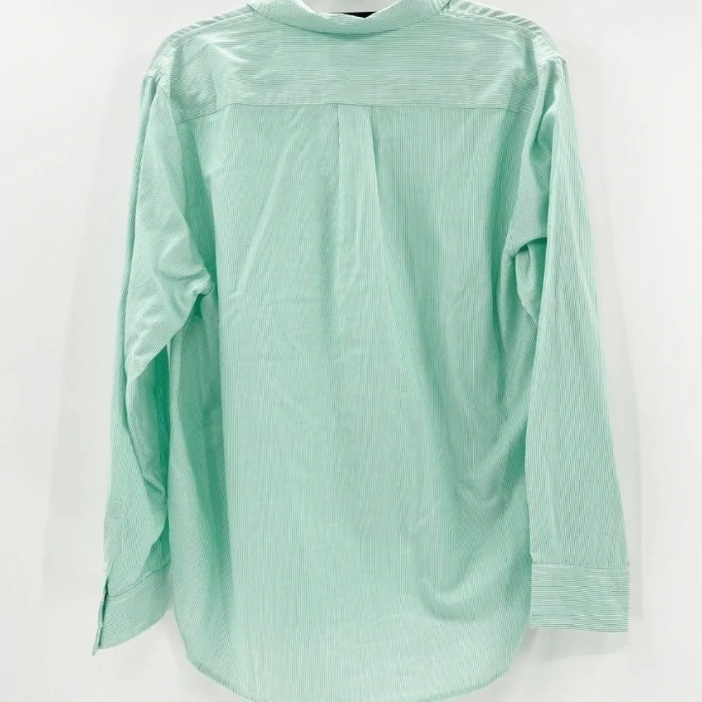 NWT Everlane The Silky Cotton Relaxed Shirt Mint Pinstripe size 2